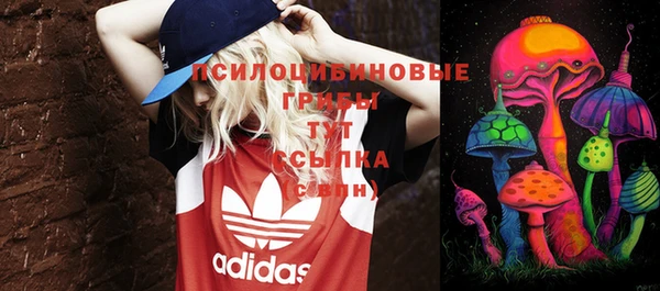 mdpv Коряжма
