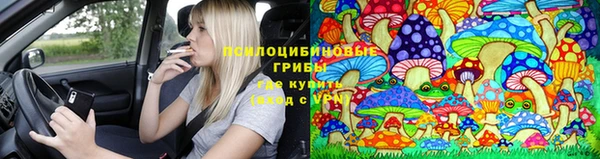 mdpv Коряжма
