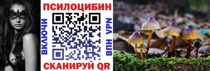 Псилоцибиновые грибы мицелий  Купить закладки  Венёв 